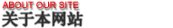 关于本网站