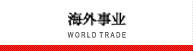 海外事业
