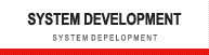 SYSYTEM DEVELOPMENT