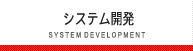 システム開発